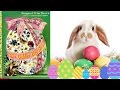 Bunny's Adventure in The Golden Egg
