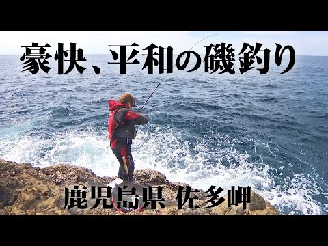 秋磯をフカセ釣り、エサ釣り、ルアー釣りなど様々なアプローチで攻略 2/2 『磯を駆ける 92』【釣りビジョン】
