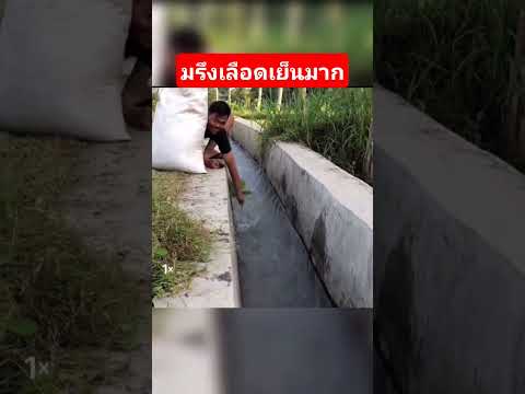 ใจคอมรึงเนาะ