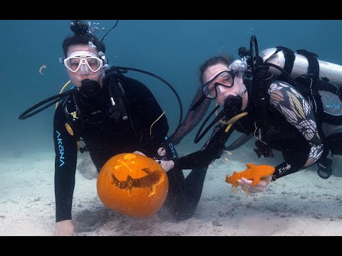 Florida Keys Underwater Pumpkin Contest 