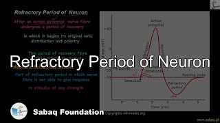 Refractory Period of Neuron