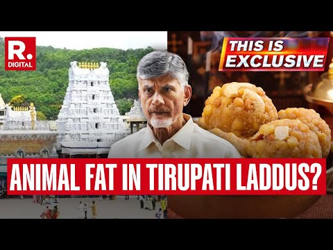 Tirupati Laddu Row: Naidu Alleges Use Of Animal Fat In Prashad