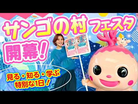 南の島のミスワリン 172回放送分
