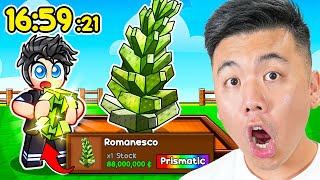 How Fast Could I Get The ROMANESCO Seed In Grow A Garden (ROBLOX)