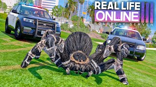 RIESENSPINNE MACHT DEN SERVER UNSICHER! | GTA 5 RP Real Life Online
