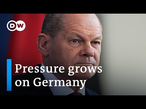 'No need to attack Germany': social democrat defends German Chancellor's stance on Ukraine | DW News