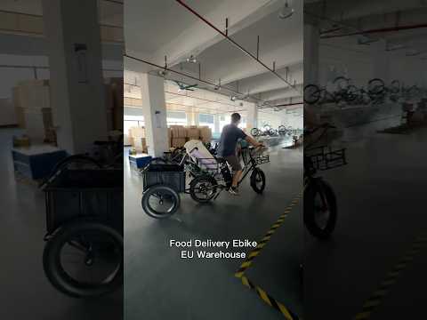 Food delivery electric bike EU warehouse, 3-9 day to door.