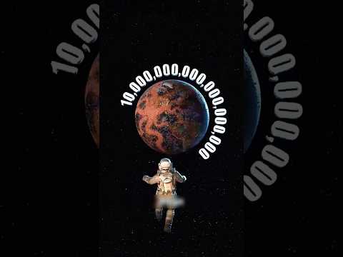 Do Bugs Or Humans Weigh More_ 🤔 #shorts #shortvideo #ytshorts #facts