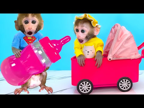 Monkey Bon Bon Learns to Play the Piano with Duckling