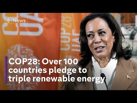 Pledge to triple renewable energy will ‘make up for lost time’, Kamala Harris says at COP28