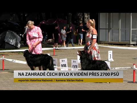 Na Zahradě Čech bylo k vidění přes 2700 psů