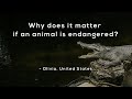 Endangered Animals and Their Ecosystems