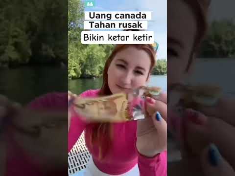 Uang canada tahan rusak walau dibejek, dilecek atau diinjek bijin ketar ketir pemalsu