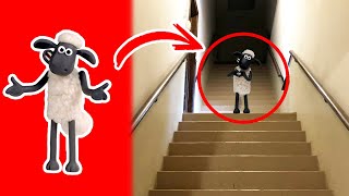 La Oveja SHAUN Captado en Camara en la Vida Real