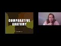 Homologous and Analogous Structures in Evolution