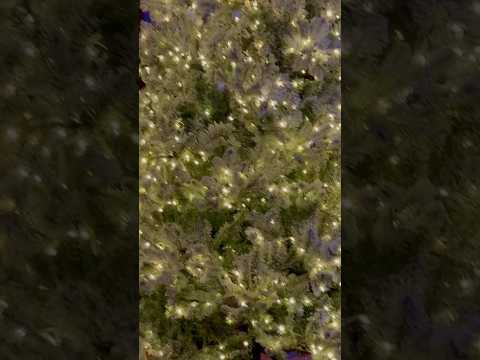 Wishing You A Very Merry Smoky Mountain Christmas #christmas #smokymountains #gatlinburgtennessee