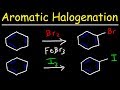 Electrophilic Aromatic Substitution Reactions Quiz