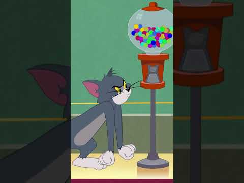 Niente gomma da masticare per Tom #tomejerry #boomerang #shorts