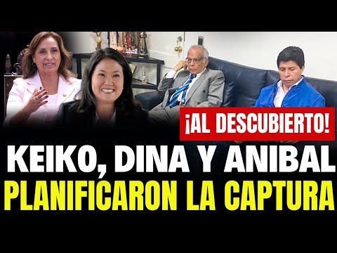 ¡Al descubierto! Keiko, Dina y Aníbal ordenaron la captura de Pedro Castillo