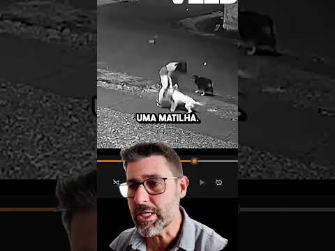 Olha Quanta Informação Em Um Vídeo Só #pets #cachorro #adestramento #mestredog