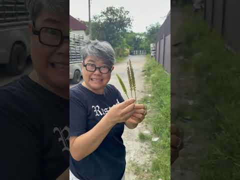 #พี่บีม #สอนให้รู้ว่า #howto #diy #ของเล่น #สนุก #ความสุข #fyp