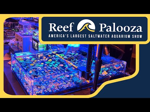 Join Us For Reefapalooza_ America's Largest Saltwa This exciting two-day event brings together some of the most renowned experts in the field, as well 