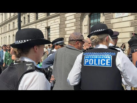 Police arrest man as demonstration in support of Palestine Action begins in London | AFP