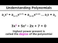 Understanding Polynomials and Their Properties