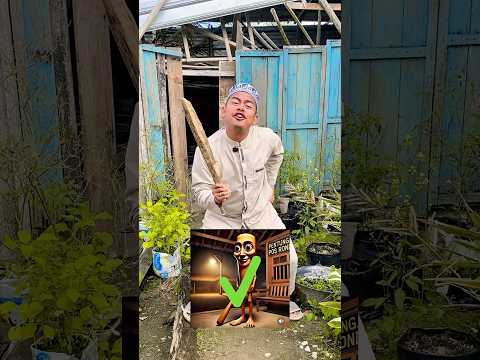tung pak ding ding dapat benda mirip anomali !