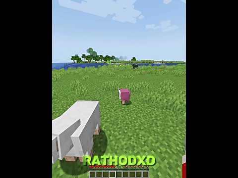 Minecraft Cool Mods ☠️ Part 2