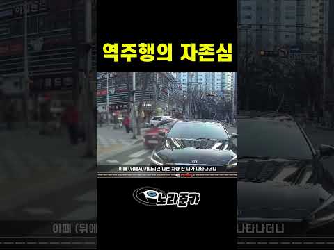 [노라준카 블랙박스] 역주행 차량과의 자존심 대결 #교통사고블랙박스영상