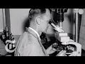 The Impact of DNA on Forensic Science