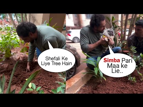 Parag Tyagi plants trees in the memory of his wife, Shefali Jariwala💔