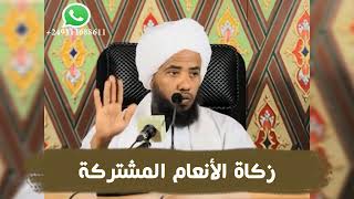 زكاة الأنعام المشتركة .. د. عبدالحي يوسف