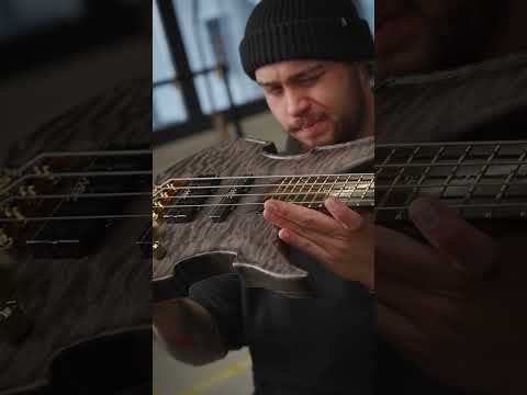 Warwick Vampyre Custom Shop #25-4494 - Final Setup #warwick #warwickbass