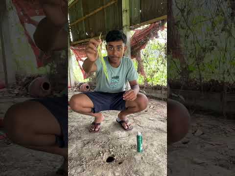 সাপুড়ের কাছ থেকে আনা সেন্ড দিয়ে সাপ ধরলাম #new #vlog #minivlog #challenge #ytshorts