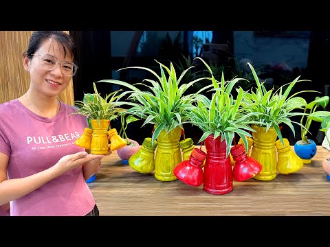 Recycle plastic bottles into SUPER CUTE tabletop planters and the best indoor plants