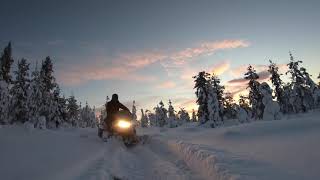 Snow-mobile safari in Swedish Lapland