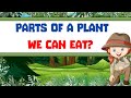 Plant Parts and Uses