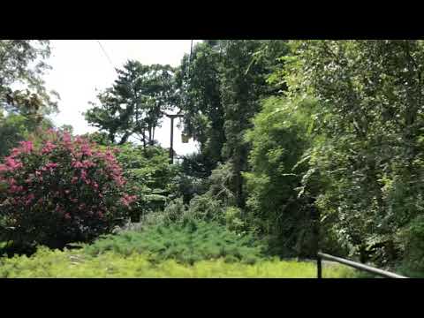 Busch Gardens Williamsburg Skyway POV