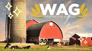 Wednesday Weather Trivia