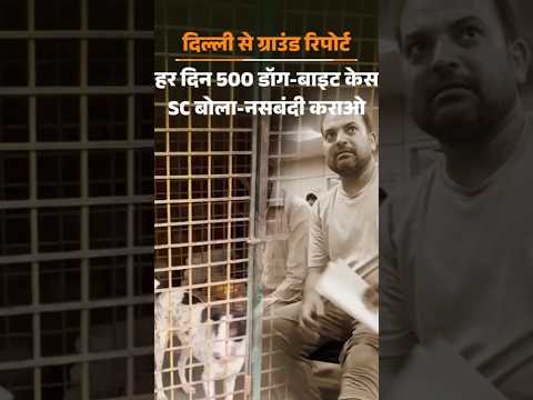 SC on Stray Dogs : नोएडा में हर दिन डॉग-बाइट के 500 केस, सुप्रीम कोर्ट बोला- नसबंदी कराओ