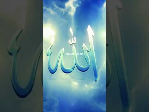 दोस्तों रात में अल्लाह से दुआ जरूर मांगनी चाहिए 🤲#facts #history #shorts