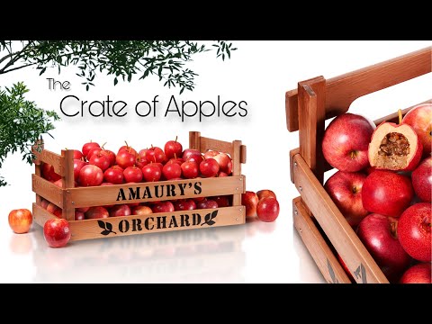 The Crate of Apples!