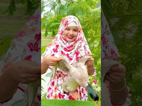 দেশি হাঁস রান্না l Desi Duck Curry Recipe #shorts #duck #curry #recipe