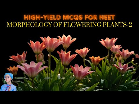 High-Yield MCQs for NEET 2026 | Morphology of Flowering Plants-2 | by Shiksha House