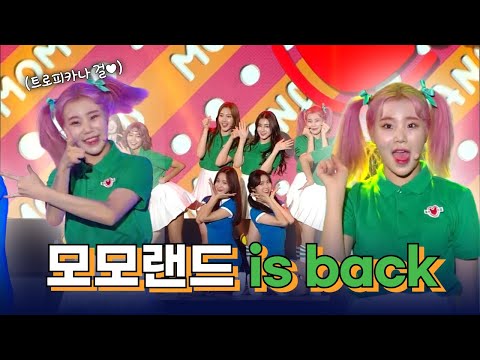 2년만에 짠!하고 컴백한 모모랜드 ‘페스티벌랜드’🎡