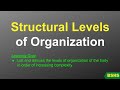 Levels of Organization in the Human Body