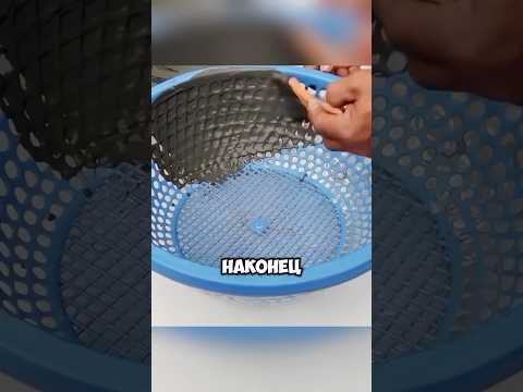 Накопил на машину с помощью дуршлага👍 #дача #сад #shorts