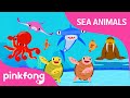 Understanding the Video Transcript